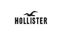 Hollister Logo